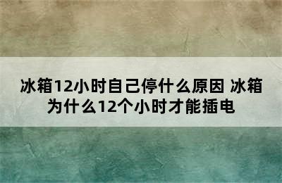 冰箱12小时自己停什么原因 冰箱为什么12个小时才能插电